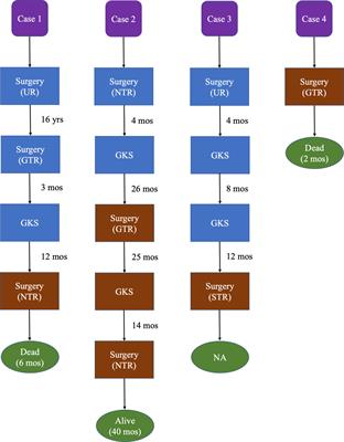 Malignant Transformation in Vestibular Schwannoma: Clinical Study With Survival Analysis